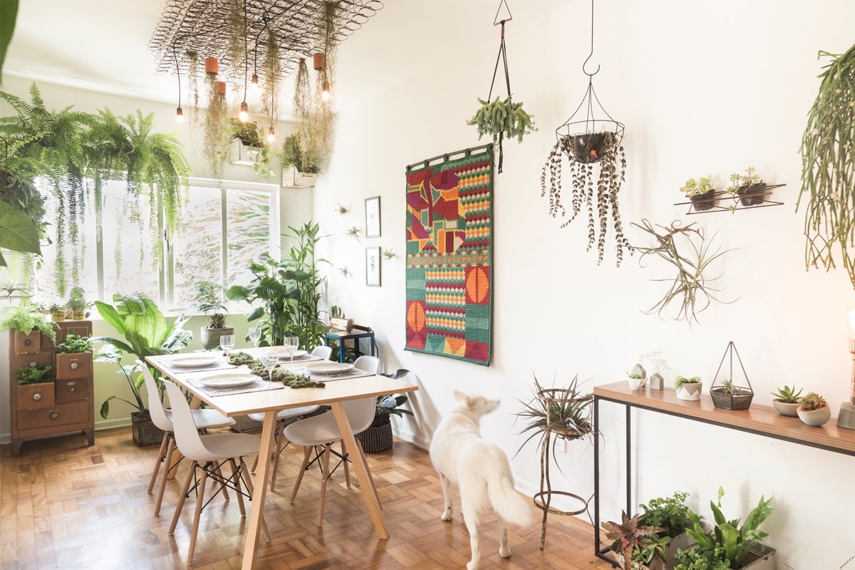 Urban jungle: natureza dentro de casa